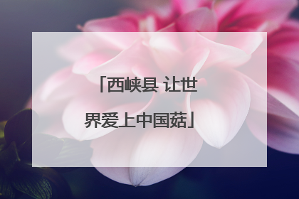 西峡县 让世界爱上中国菇